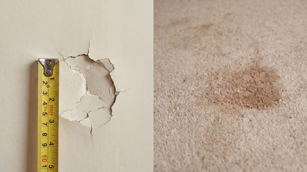 Left: cracked plaster wall with a yellow measuring tape; right: close-up beige carpet texture.